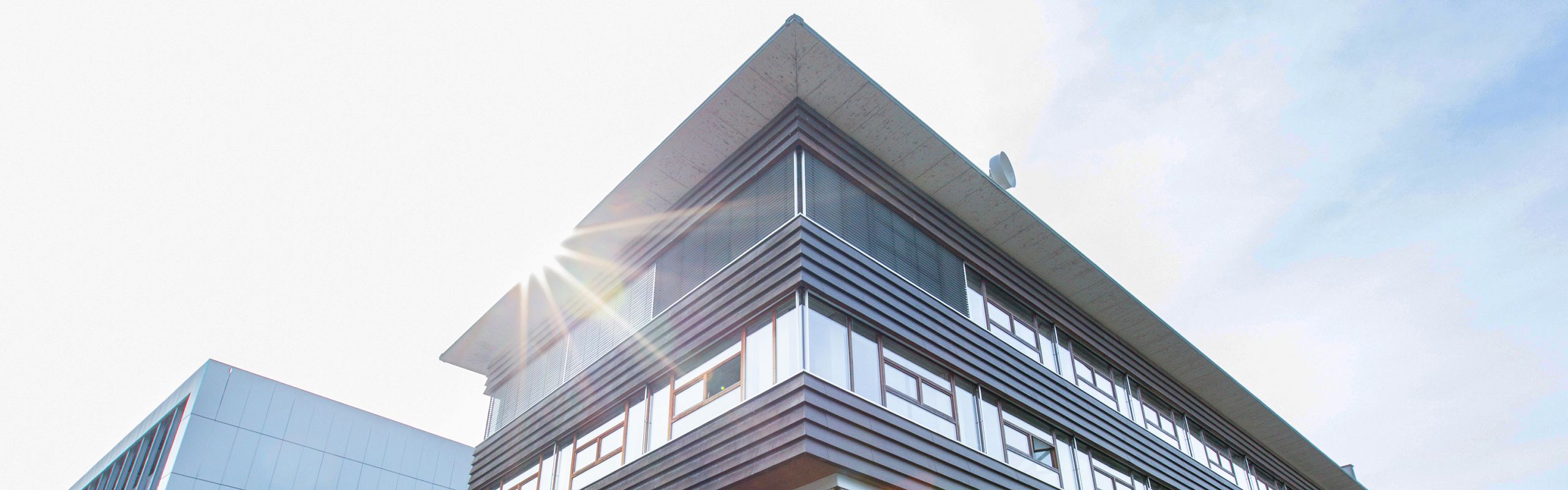 Dehmer Tax - Waldkirch