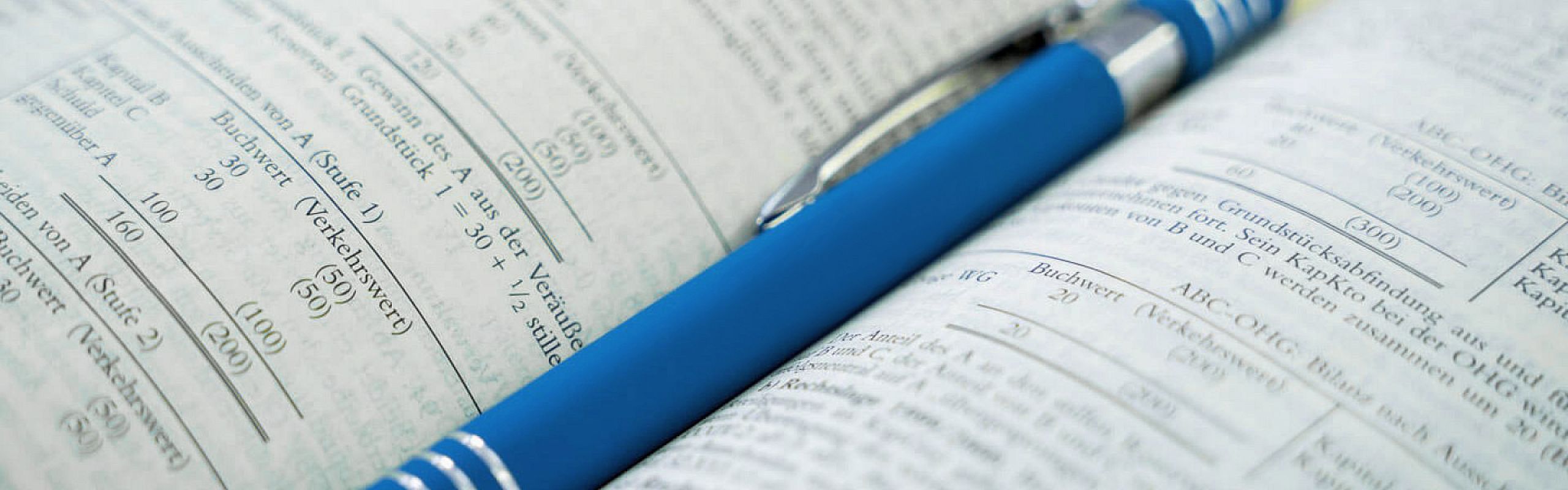 Dehmer Tax - Jahresabschluss